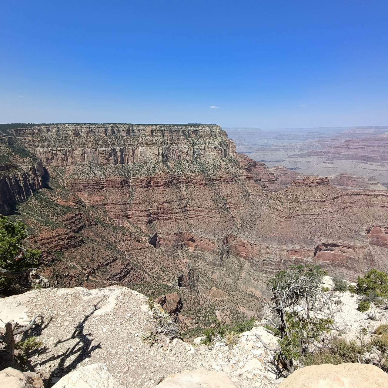 Grand Canyon